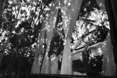 05_Portrait of Mom- dreaming