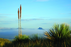 Peaks Above the Clouds