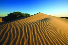 Texture of the Dunes