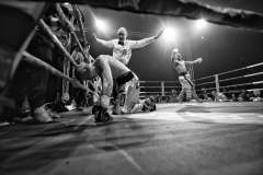 2013davidandreweiss_-1-15