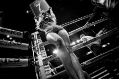 daw3503-as-smart-object-1-5