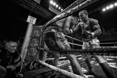 daw6639-as-smart-object-1-2