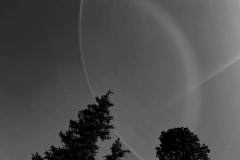 Micaela van der Meulen, We Are All Here