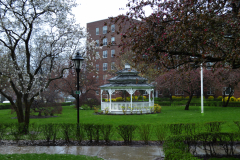 Joshua McMaster, Rain Garden