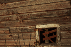 Nicole Ciha, Barely Hanging On