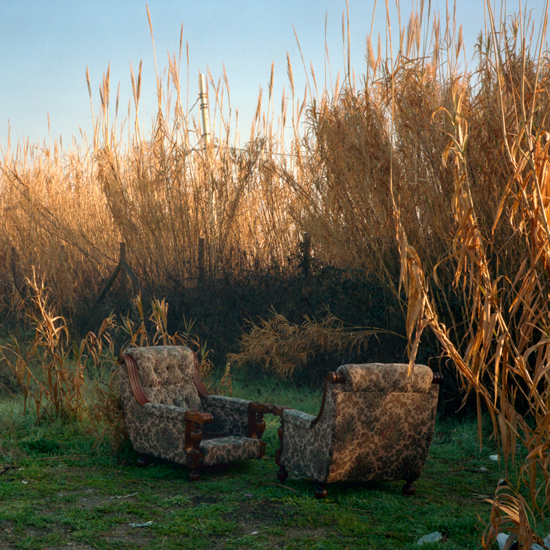 di Marco Gualtieri e Sofia Galli