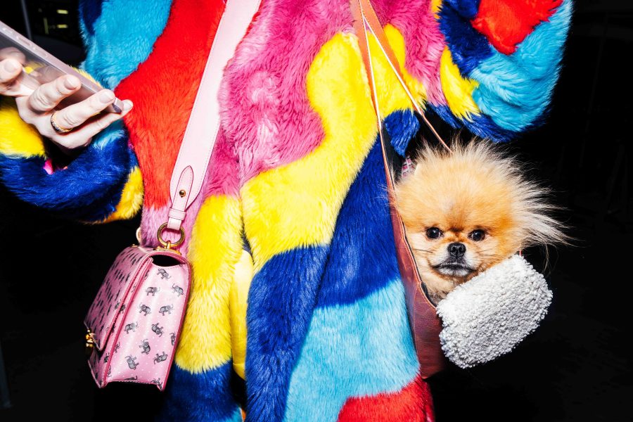 Final Student Exhibit – Spring 2024