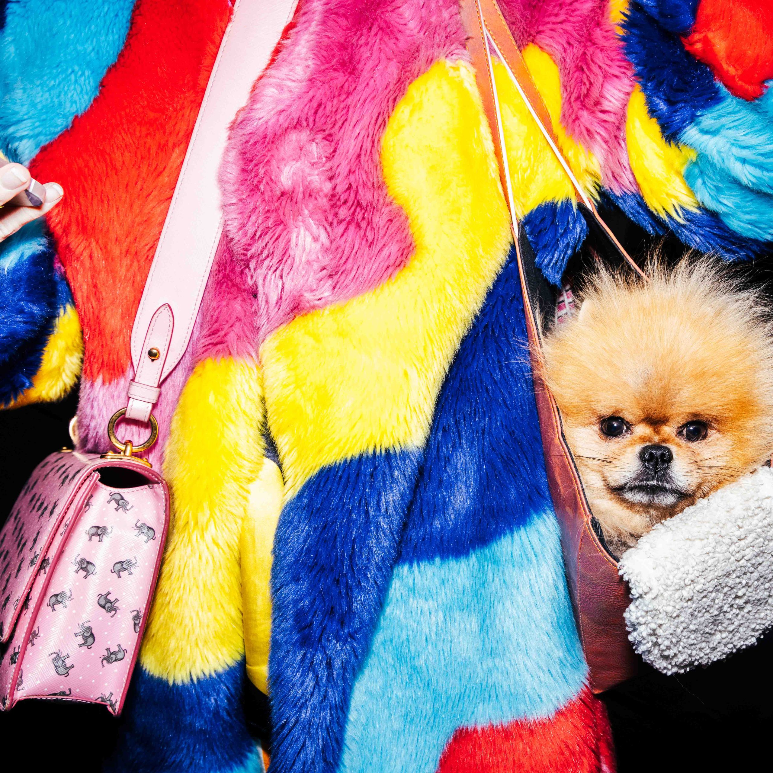 square_ final student -exhibit-2